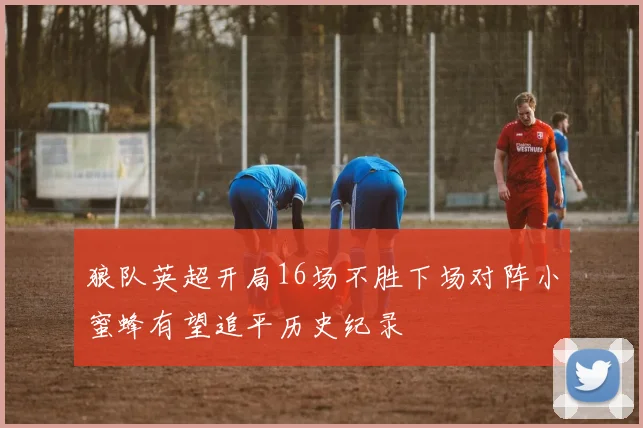 狼队英超开局16场不胜下场对阵小蜜蜂有望追平历史纪录