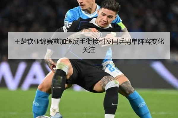王楚钦亚锦赛前加练反手衔接引发国乒男单阵容变化关注（TIANBOSPORTS）